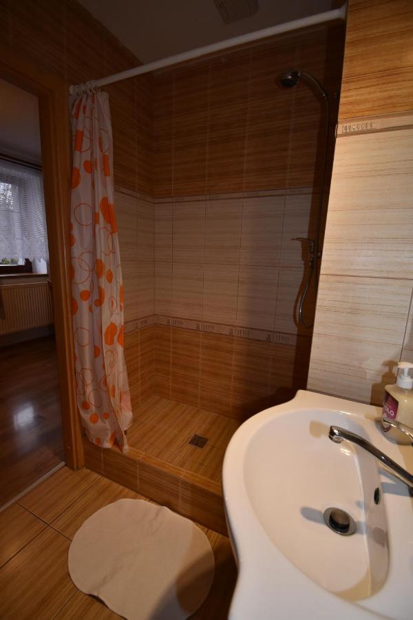 Apartmany Snezenka Desztne w Górach Orlickich Zewnętrze zdjęcie